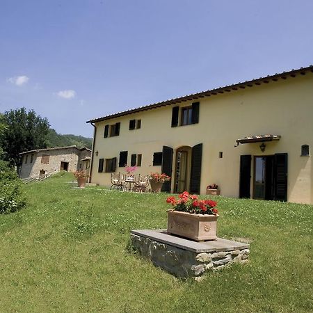 Tenuta Il Cerro Vicchio Quarto foto
