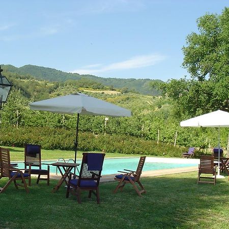 Tenuta Il Cerro Vicchio Quarto foto